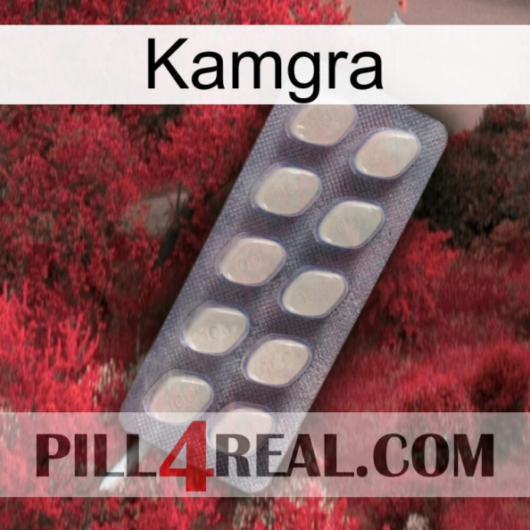 Kamgra 08.jpg